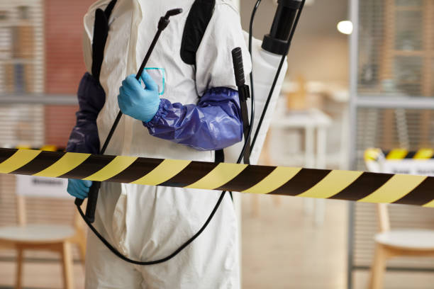 Professional Biohazard Cleanup technician working in Paisley, FL
